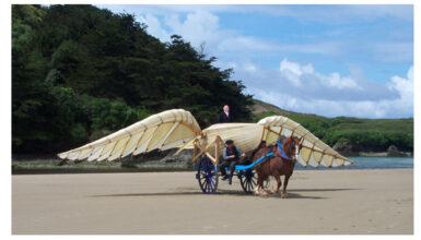 Photo de face de la reproduction de la barque ailée tractée par un cheval sur la plage de Tréfeuntec