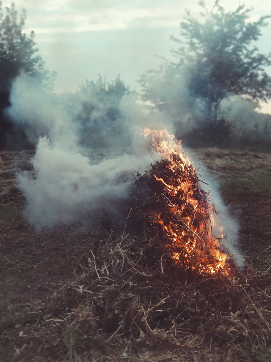 brown grass field with white smoke